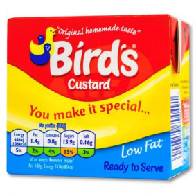 BIRD`S CUSTARD READY TO SERVE LOW FAT 500gr
