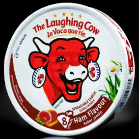 THE LAUGHING COW CHEESE PORTIONS HAM X 8