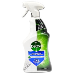 DETTOL MOULD & MILDEW REMOVER 750ml